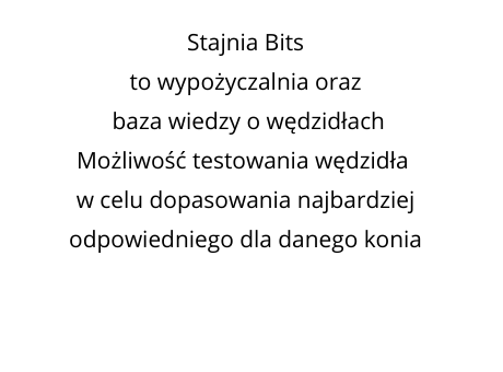 StajniaBits to.png